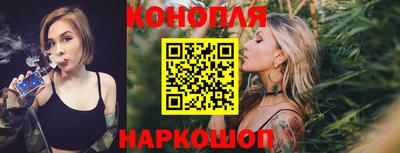 jwh Шебекино
