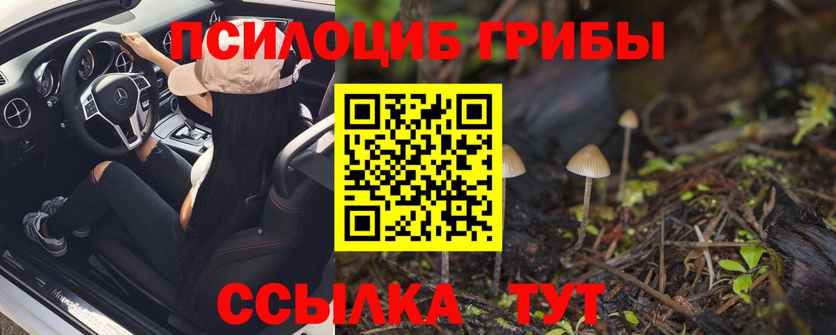 Псилоцибиновые грибы Magic Shrooms Асино