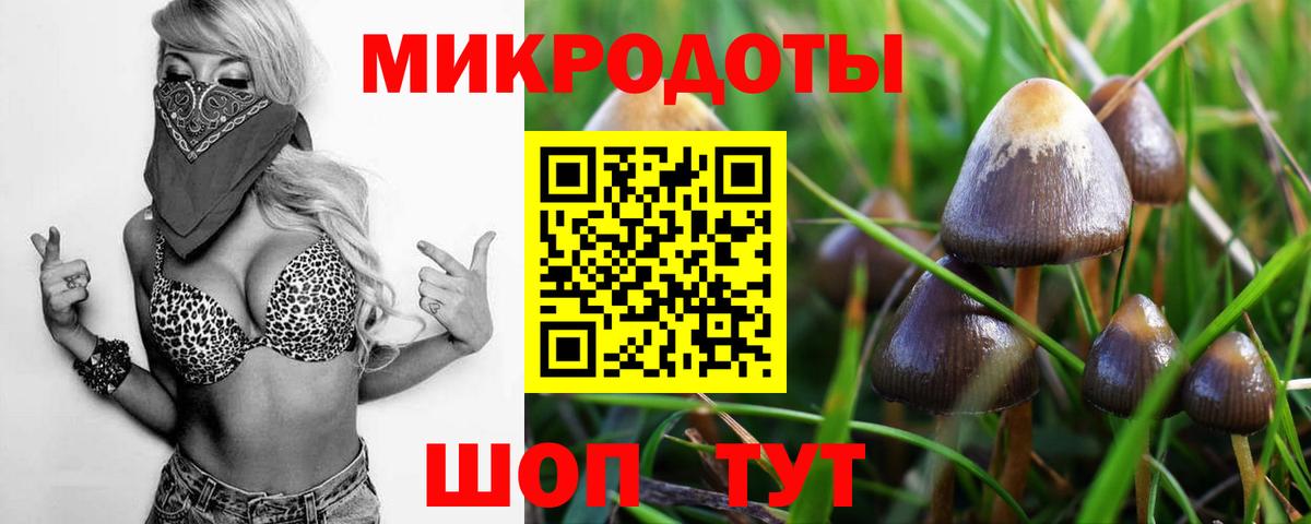 Галлюциногенные грибы Magic Shrooms  Галлюциногенные грибы прущие грибы  Вход с VPN  Асино 