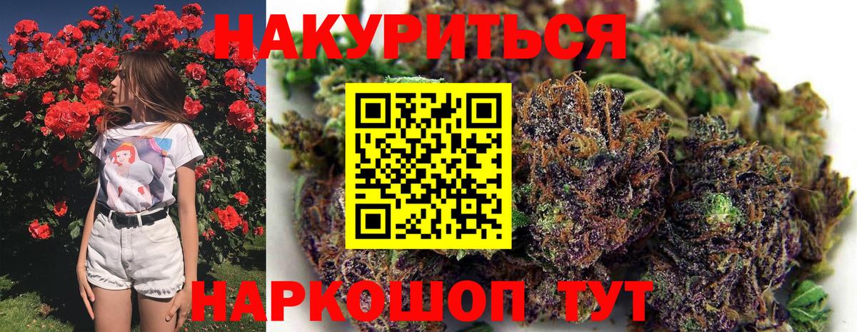 Бошки Шишки гибрид Асино